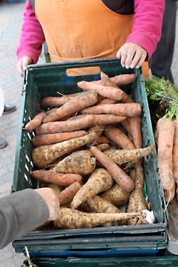 parsnips and carrots