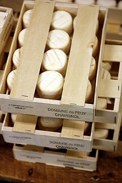 chavignol goat cheese