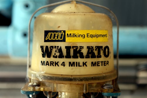 milking equipment