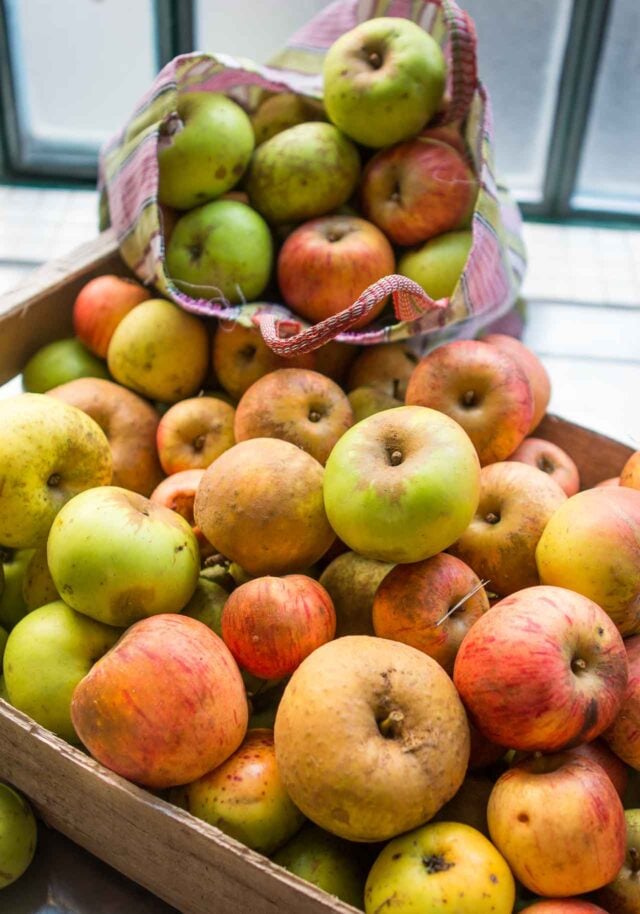 Fuji apples *seconds* *not organic* 5 kilo+ box (a little more