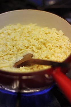 grated cheese in fondue