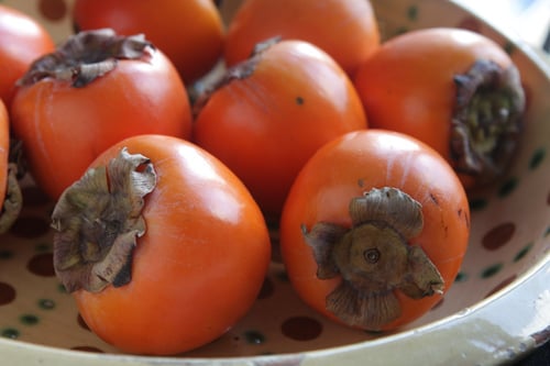 persimmons