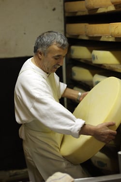 cheesemaker