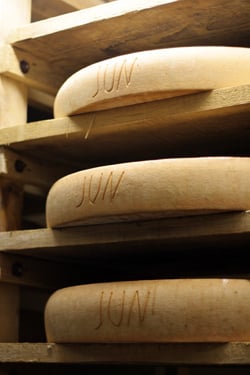 June Comté