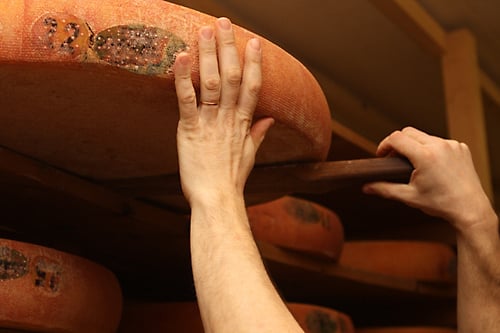 lifting wheel of Comté