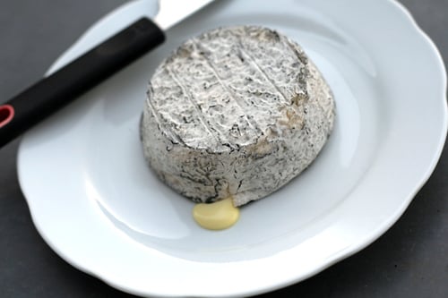 Selles-sur-Cher cheese