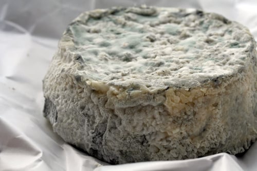 goat cheese