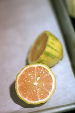 lemon