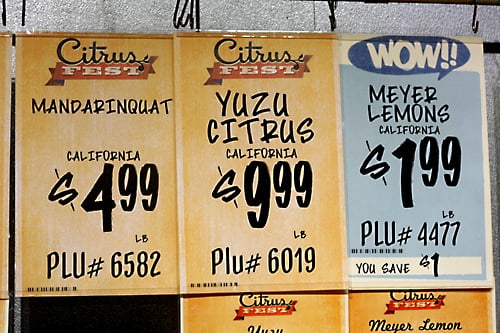 citrus signage