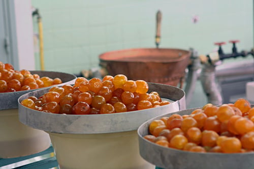 candied clementines in Provence