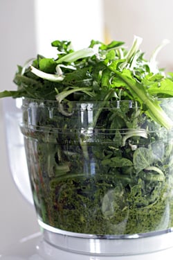 food processor pesto