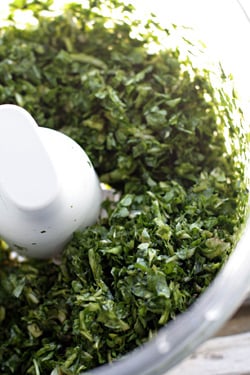 making dandelion pesto