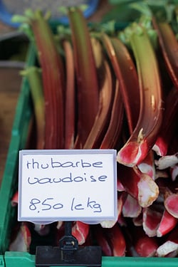 rhubarbe