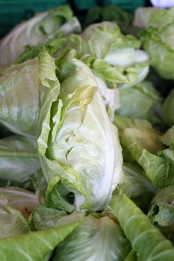 cabbage