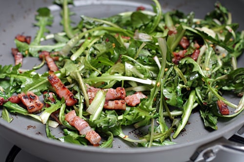 fried dandelion and bacon