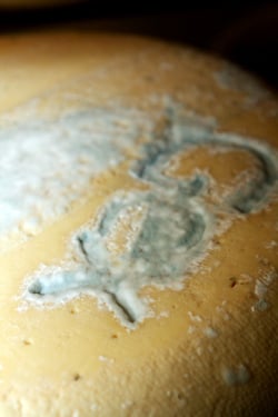 Bleu de Gex