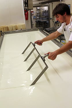 cutting cheese curds
