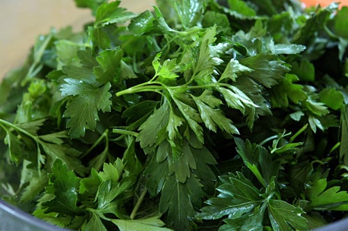 parsley for Tabbouleh