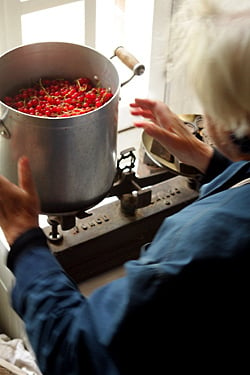 weighing red currants