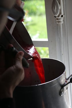 red currant puree