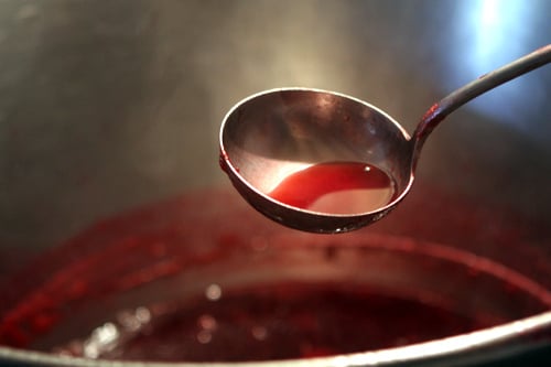 Red Currant Jam David Lebovitz