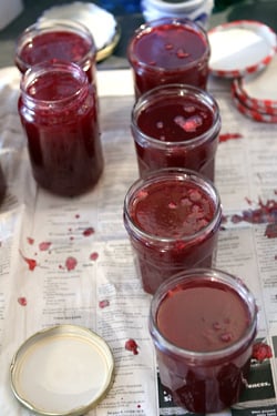 red currant jam