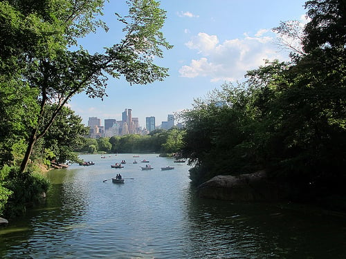 central park in august