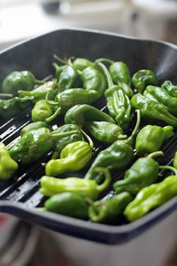 padron peppers 