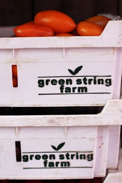 green string farm