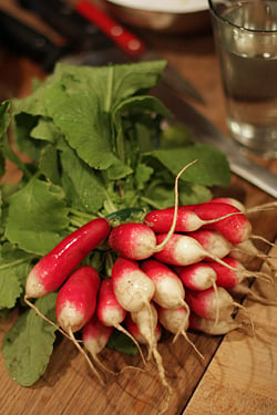 radishes