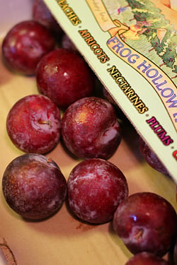 plums from Frog Hollow