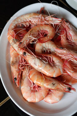 Chinese prawns