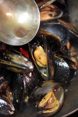 mussels in broth