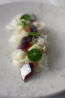 blue makerel sashimi