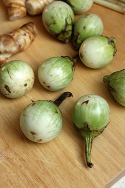 Thai eggplant