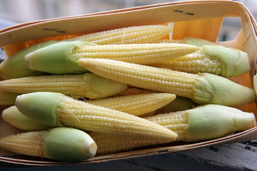 baby corn