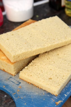 Lamingtons