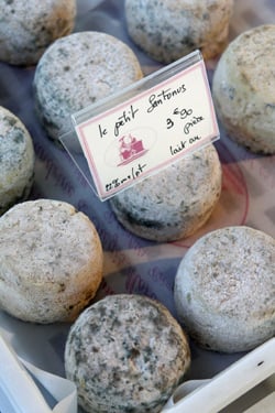 goat cheeses