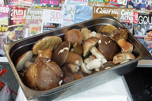 cepes and magazines