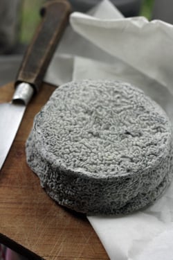 selles-sur-cher cheese