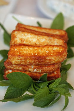 fried haloumi cheese