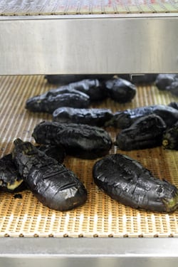 roasted eggplant 