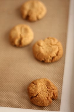 tahini cookies