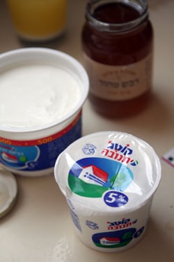 Israeli dairy products
