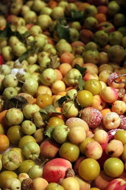 fruits in Israel
