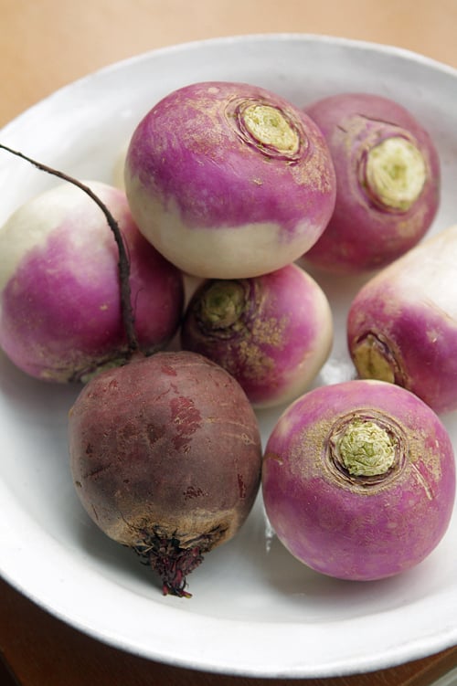 turnips and beets for pickling