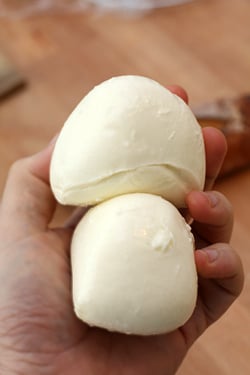 mozzarella