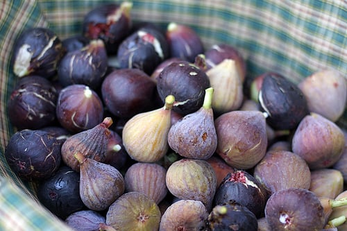 figs