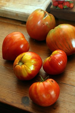 tomatoes