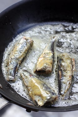  sardines in Bordier butter